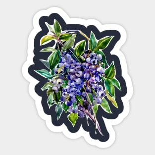 Blueberries Sticker